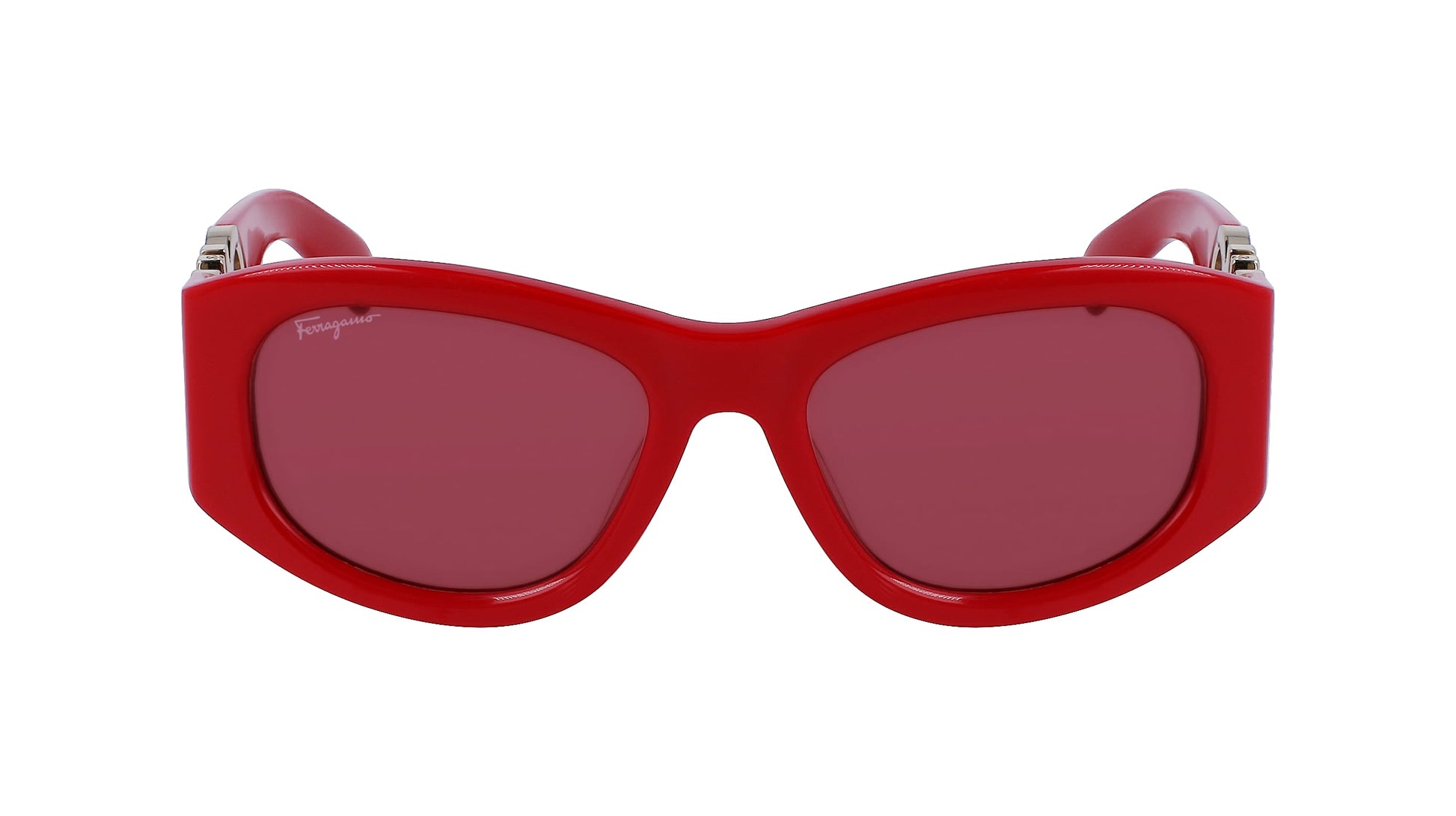 FERRAGAMO SF1082S531960