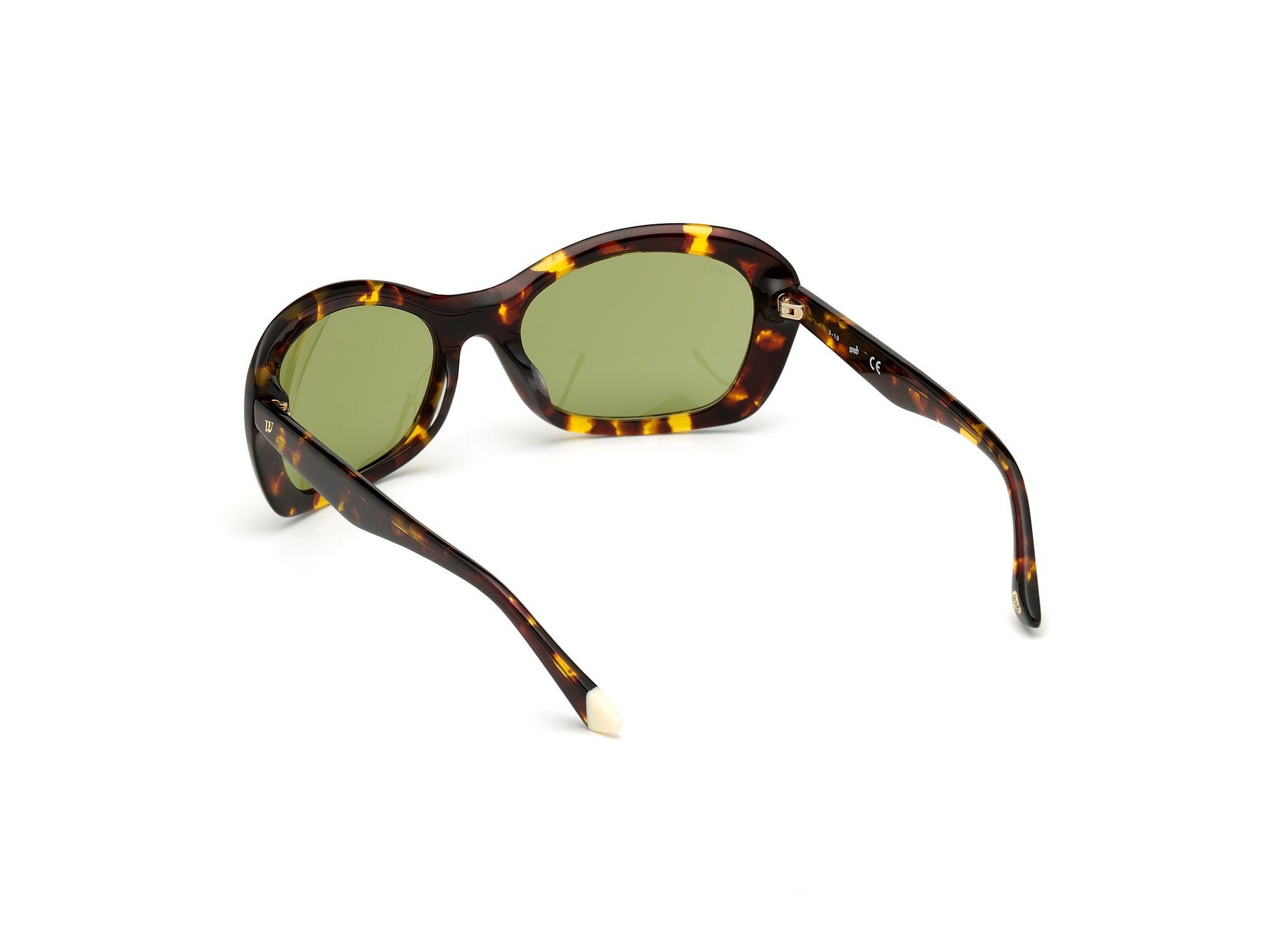 WEB EYEWEAR WE0289-5652N